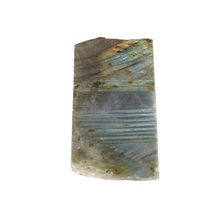 Labradorite Top Polished Slice #2 from The Rock Space