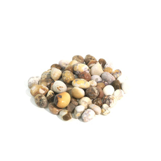 Orbicular Jasper Tumbled Stones - India from The Rock Space