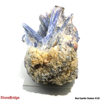 Blue Kyanite Cluster U#120 - 14" from The Rock Space