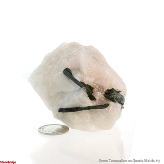 Green Tourmaline on Quartz Matrix #3 from The Rock Space