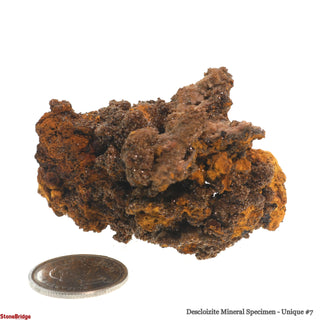Descloizite Mineral Specimen U#7 - 2" from The Rock Space