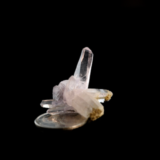 Amethyst Vera Cruz Cluster Specimen from The Rock Space