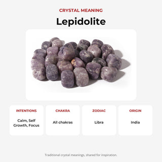Lepidolite Tumbled Stone 'B' (India) - 1lb bag from The Rock Space