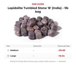 Lepidolite Tumbled Stone 'B' (India) - 1lb bag from The Rock Space