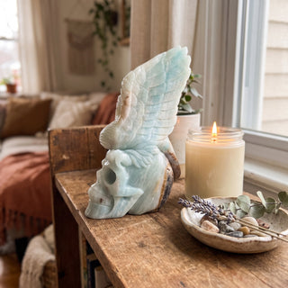 Amazonite Bird Skull Carving Unique from Stonebridge Imports