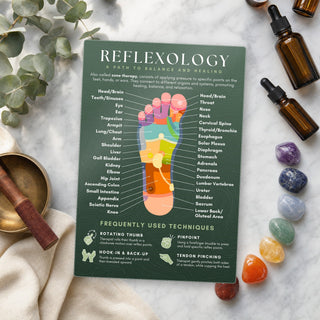 QuickStudy Guide 2.0 - Reflexology (PDF File) from The Rock Space