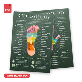 QuickStudy Guide 2.0 - Reflexology (PDF File) from The Rock Space