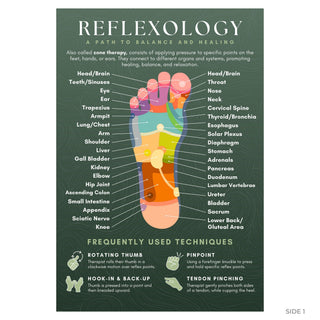 QuickStudy Guide 2.0 - Reflexology (PDF File) from The Rock Space