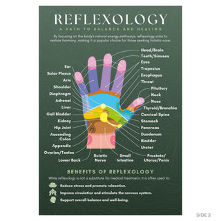 QuickStudy Guide 2.0 - Reflexology (PDF File) from The Rock Space