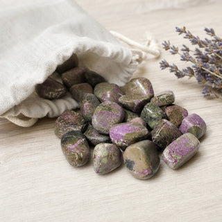 Stichtite Tumbled Stones from Stonebridge Imports