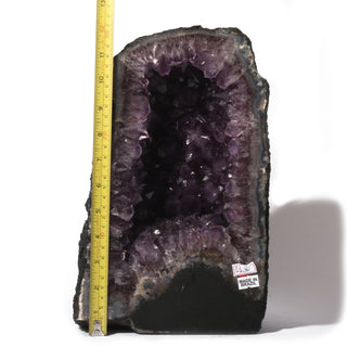 Amethyst Cathedral U#169 - 11.8kg    from The Rock Space