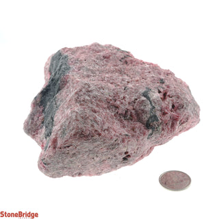 Rhodonite Specimen U#3    from The Rock Space