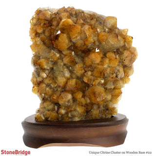 Citrine Cluster on Wood Base U#22 - 8 1/2"    from The Rock Space