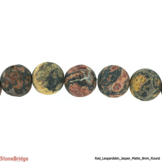 Red Leopardskin Jasper Matte - Round Strand 15" - 8mm    from The Rock Space