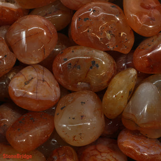 Carnelian B Tumbled Stones - Brazil    from The Rock Space