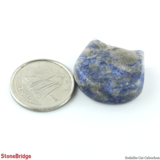 Sodalite Cat Cabochon - 3/4"    from The Rock Space