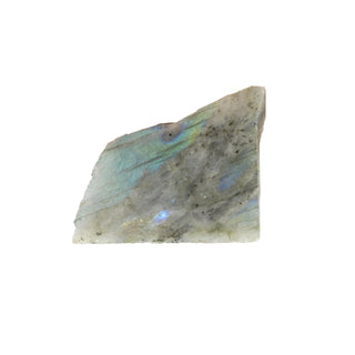 Labradorite Top Polished Slice #1    from The Rock Space