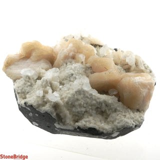Zeolite on Basalt Cluster - APOPHYLLITE & STILBITE U#81    from The Rock Space