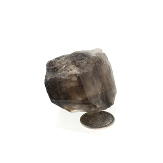 Smoky Quartz Elestial  #2 - 1 1/2" to 2 1/2"    from The Rock Space