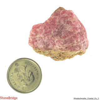 Rhodochrosite Rough E #2 - 10g to 19g    from The Rock Space