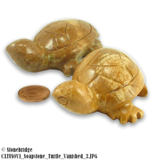 Turtle Soapstone Carving Varnished    from The Rock Space