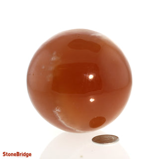 Calcite Honey Sphere - Medium #3 - 2 3/4"