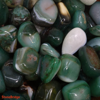 Agate Green Tumbled Stones    from The Rock Space