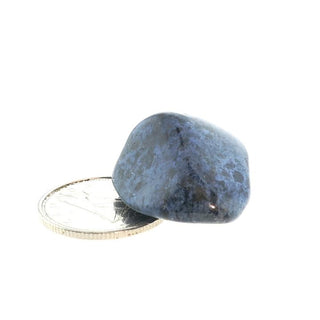 Dumortierite Tumbled Stones    from Stonebridge Imports