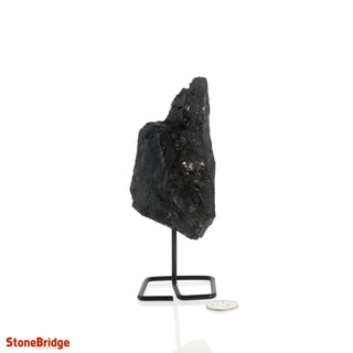 Black Tourmaline on Stand #3    from The Rock Space