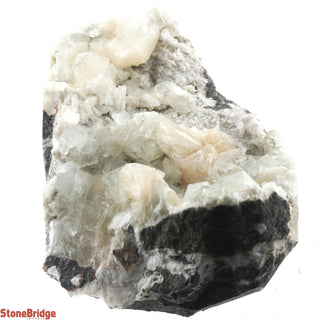 Zeolite on Basalt Cluster - APOPHYLLITE & STILBITE U#73    from The Rock Space