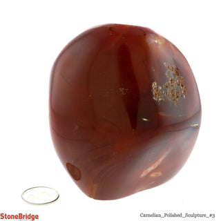 Carnelian Polished Sculpture #3 - 300g to 400g    from The Rock Space