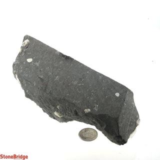 Zeolite on Basalt Cluster - APOPHYLLITE & HEULANDITE U#55    from The Rock Space