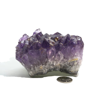 Amethyst Clusters #3 - 4" to 5"    from The Rock Space