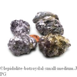 Lepidolite Botryoidal - Small    from The Rock Space