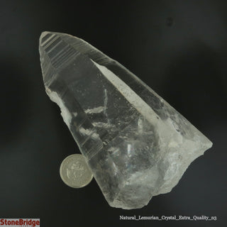 Lemurian E Single Point #3 - 3" to 5"    from The Rock Space