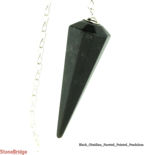 Obsidian Black Pendulum 8 Facets    from The Rock Space