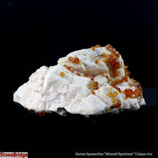 Garnet Spessartine Cluster U#12    from The Rock Space