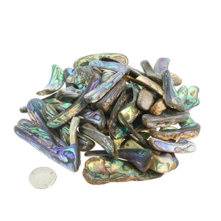 Abalone Shell Rim Tumbled Stones    from The Rock Space