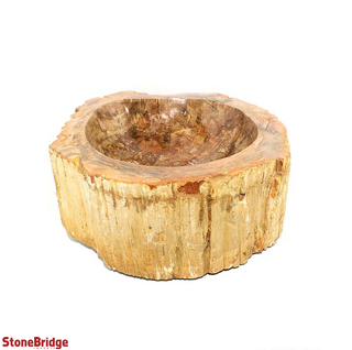 Petrified Wood Fossil - Sink Bowl    from The Rock Space