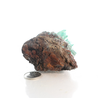 Kobyashevite Mineral Specimen U#05    from The Rock Space