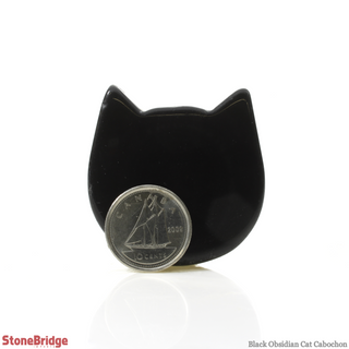 Black Obsidian Cat Cabochon - 1 1/2"    from The Rock Space