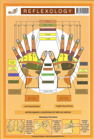 QuickStudy Guide - Reflexology    from The Rock Space