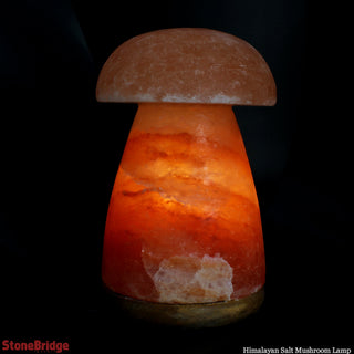 Himalayan Salt Lamp - Mushroom    from The Rock Space