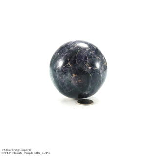 Fluorite Sphere - Medium #2 - 2 3/4"    from The Rock Space
