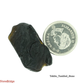 Tektite Tumble Stone #1 - Single Piece    from The Rock Space
