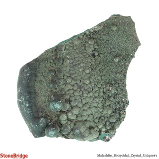 Malachite Botryoidal U#1 - 594g    from The Rock Space