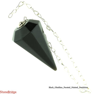 Obsidian Black Pendulum 8 Facets    from The Rock Space