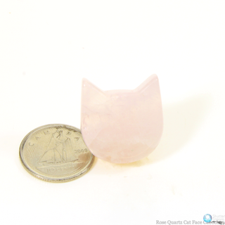 Rose Quartz Cat Cabochon - 3/4"    from The Rock Space