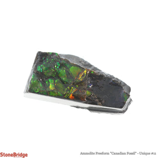 Ammolite Freeform Canadian Fossil U#11    from The Rock Space