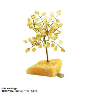 Citrine Wired Gem Tree 6" Tall    from The Rock Space